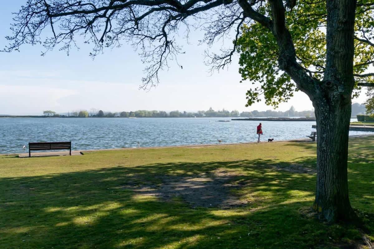 Park Lake View 풀 외부 사진