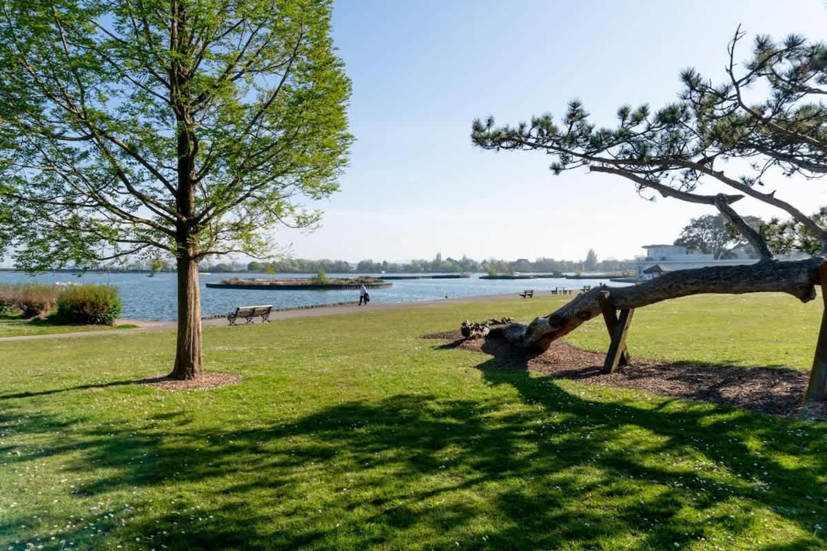 Park Lake View 풀 외부 사진